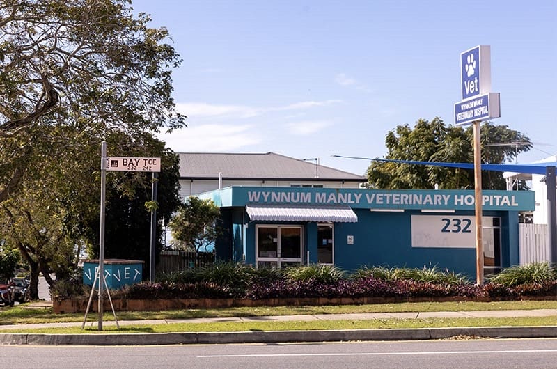 Wynnum Manly Vet Hospital Bay Terrace